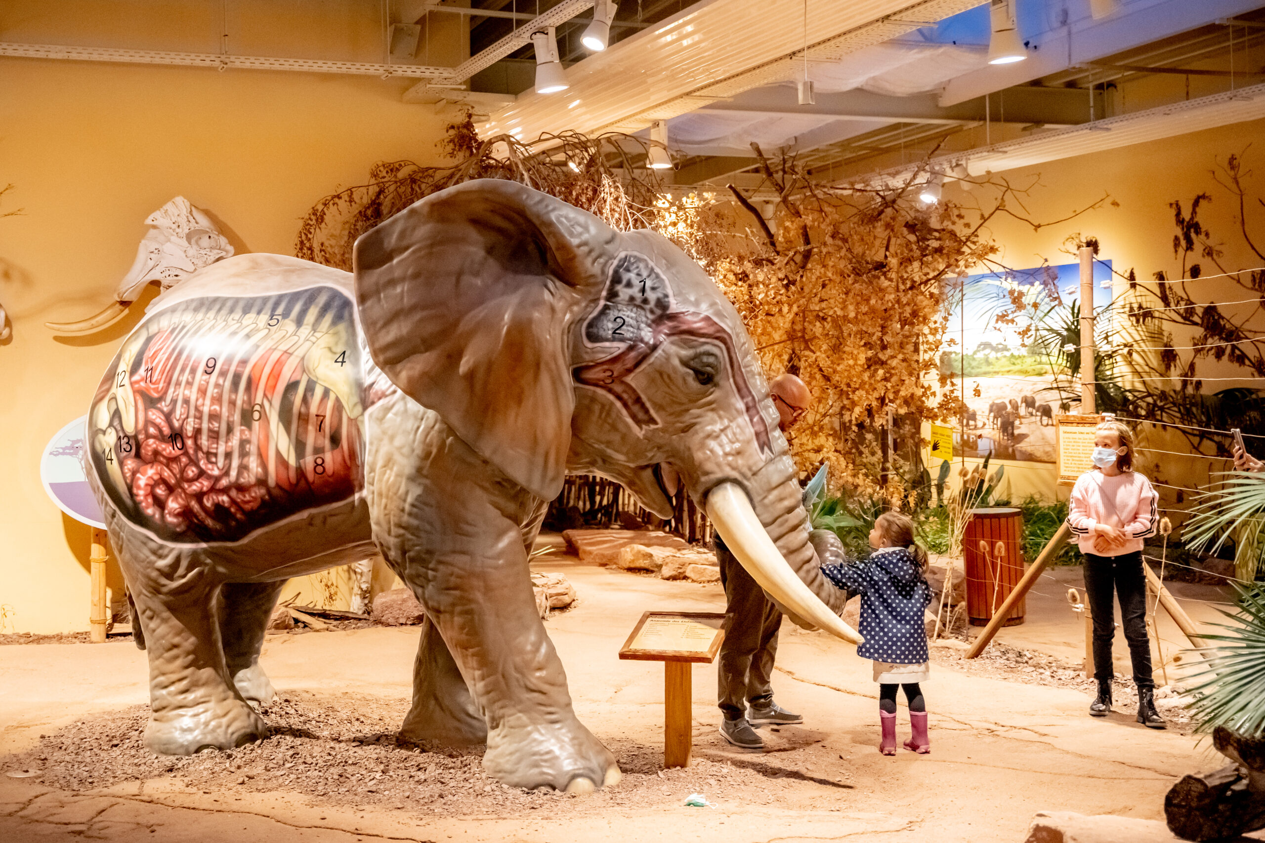 Ein Elefanten Imitat im Zoo Magdeburg